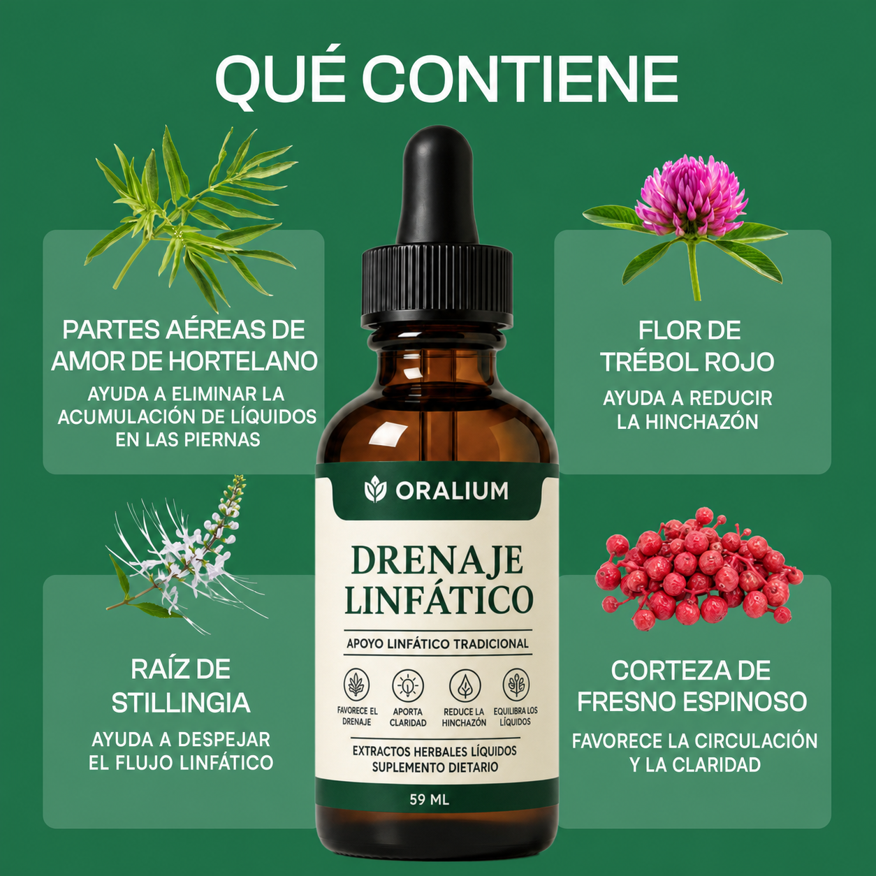 Qué contiene